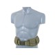 Padded MOLLE Combat Belt - Multicamo [8FIELDS]